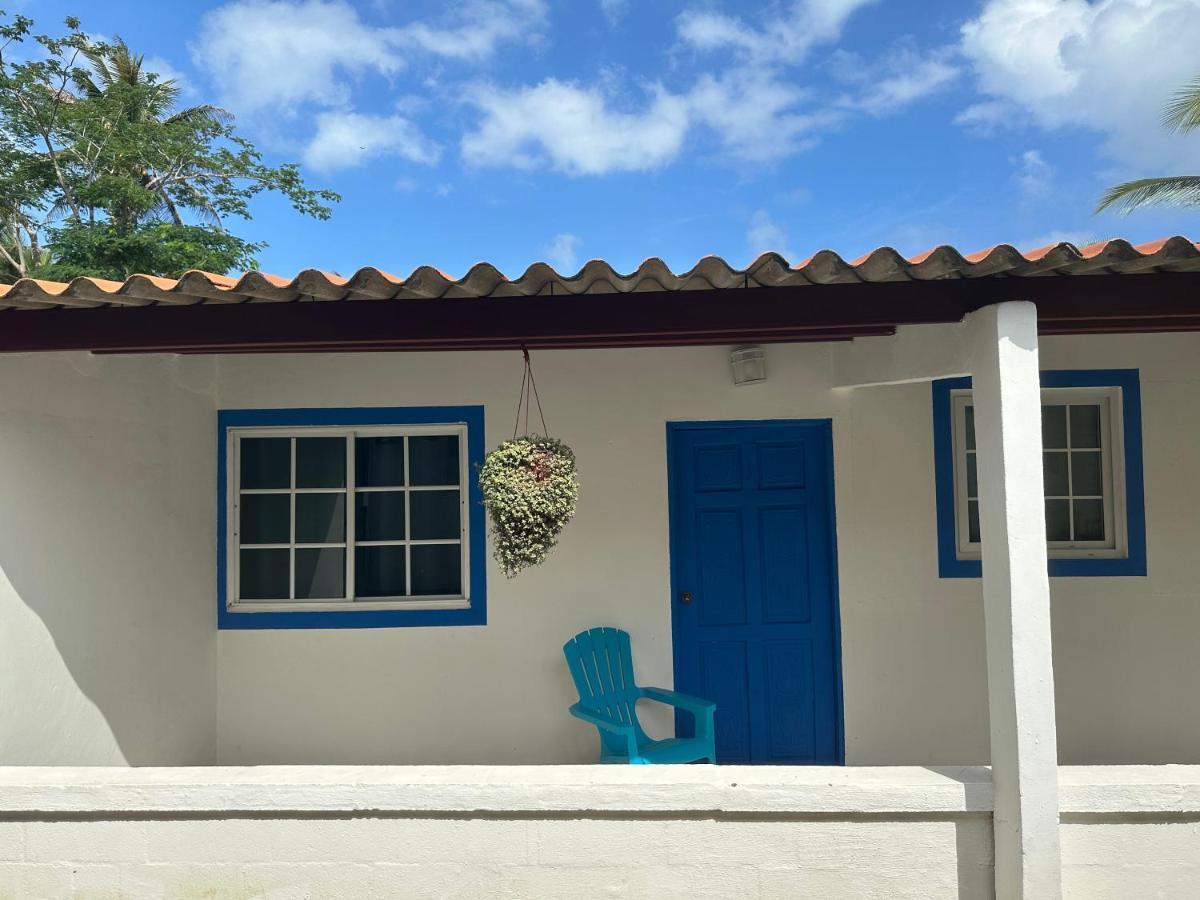 La Posada Del Buzo 科隆 外观 照片