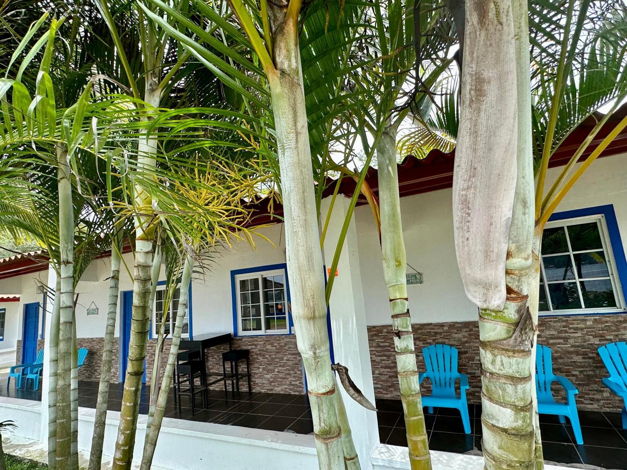 La Posada Del Buzo 科隆 外观 照片